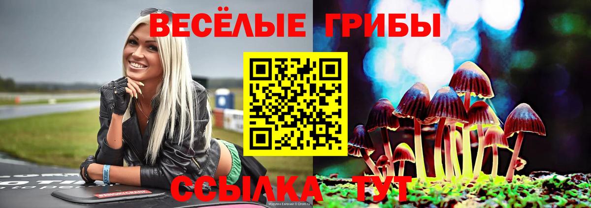 Псилоцибиновые грибы Psilocybe  Вход с VPN  Галлюциногенные грибы Psilocybine cubensis  Химки 